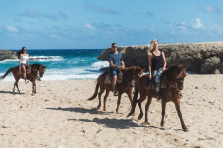 Horseback Riding Aruba