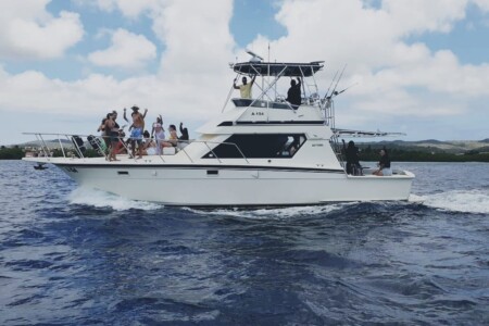 Private Boat Rental Aruba Sea Bull