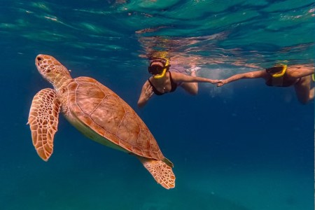 Aruba Private Snorkeling Tours 5